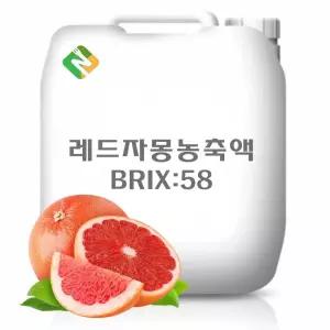 레드자몽농축액 58Brix 20kg과일 추출 야채 과채 과즙 한방 농축