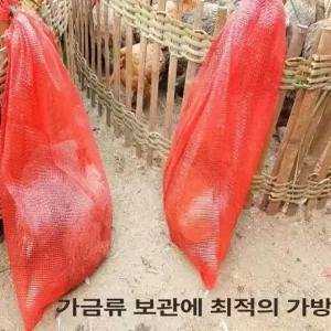 대형 그물망 양파망 채소 매쉬 마늘 매쉬 야채보관망