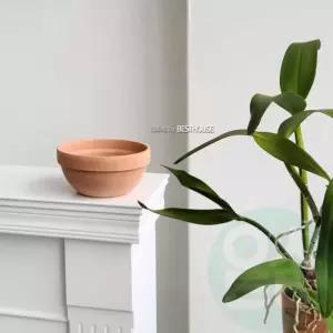 베트남 토분 정반원 23x10cm 살구색 화분+R19받침 선인장토분 선인장화분