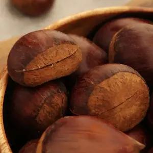 오초록 2025년 햇밤 국내산 공주 칼집밤 포르단 특 1kg