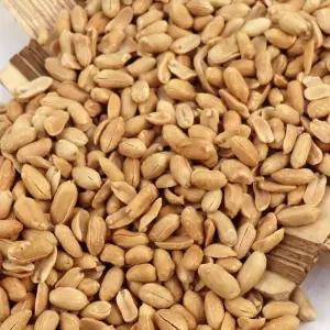 맛사랑 튀김땅콩 10kg