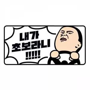 [셀러에이드]왕초보운전 내가초보라니 자동차스티커 반사 야간반사