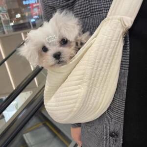 휴대용 야외 여행 강아지 고양이 캐리어 크로스바디 숄더/슬링백 가벼운 애완동물 운반 슬링백 포대기 앞가