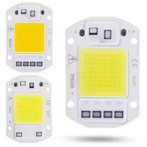 LED COB 칩 20W 30W 50W AC 220V 스마트 IC 필요 없음 드라이버 램프 구슬 DIY 홍수 빛 스포트라이트 투광