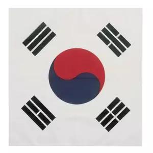 태극기 손수건 스카프 응원용