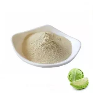 양배추추출분말 1kg