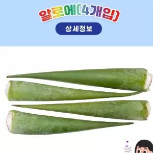 알로에 잎을 활용한 수분 저장 원리 관찰 다육조직관찰 4개입 반려식물 STEAM교구 과학탐구학습