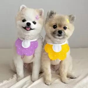 키밍 반려동물 스카프 턱받이 강아지 고양이 넥케이프 침받이