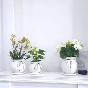 모던 도기 화분 리본단지 화이트무광 D17x18cm (볼)홈가드닝 식물키우기 꽃키우기 원예용 집들이선물 꾸미