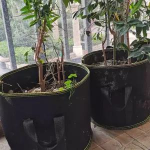 대형 텃밭 화분 옥상 플랜터박스 세트분갈이화분 부직포백 심플한 블루베리 그로우 튼튼한