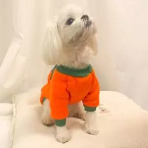 강아지 할로윈 펌프킨 의상벌의류 강아지옷 애견 패션 반려견 생일파티 애완견