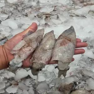 통통 생물한치 1kg