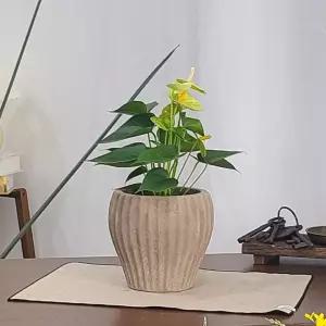 테라원 빈티지 아쿠아 토분 HN30412 13x16cm 엘도르분갈이화분 홈가드닝 식물키우기 인테리어 가벼운 용기
