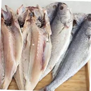 국내산 냉동 반건조 민어 8미 구이용 제수용 밥반찬 흰살생선 명절생선 냉동흰살생선 수산물