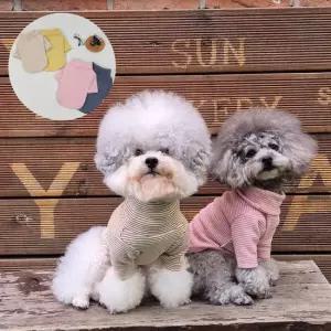 아트박스 마전동상회 애견 옷 강아지 티 목폴라 긴팔 실내복 외출복