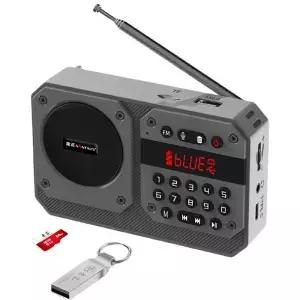 미니 휴대용 FM 라디오 고감도 수신기 마이크 지원 TF USB 과 무선 Hifi 블루투스 스피커