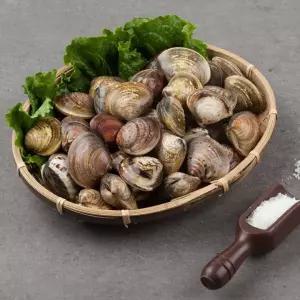 활 바지락 1kg (65-80미) 大