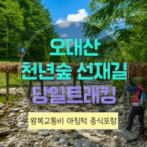 [강원] 강원 오대산 천년숲 선재길 트래킹 ( 중식제공 ) 당일여행