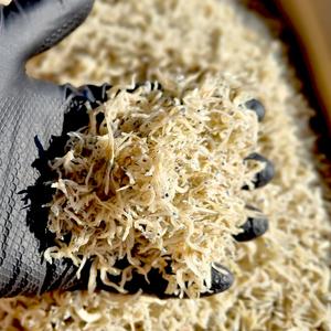 상급 아기 지리멸치(세세멸) 볶음멸치 1.5kg 한박스