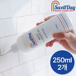 [홈스웰]스웰데이 곰팡이제거제 250ml 2개 /실리콘 줄눈 창틀 겨울철 결로 곰팡이 제거