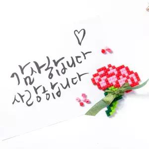 디폼블럭 카네이션 패키지 8mm 어버이날 기념품 선물