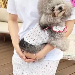 오너클랜 강아지 짜글이 프릴 슬리브 2XL 1P 반려견 견주바지O 강아지슬리브 강아지티셔츠
