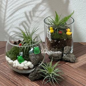 [오피스스쿨]  토단 작은 숲 이끼 비바리움 만들기 1인세트 2중 택1 DIY 원예활동 비단이끼 플렌테리어소품