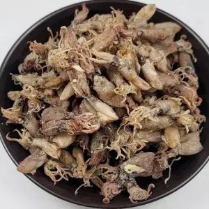 국내산 건꼴뚜기 500g 1팩