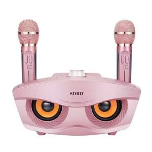 휴대용 노래방 BT 무선 스피커, 듀얼 핸드 헬드 마이크, 올빼미 SD306, 20W 베이스 사운드 패밀리 KTV, 2 i
