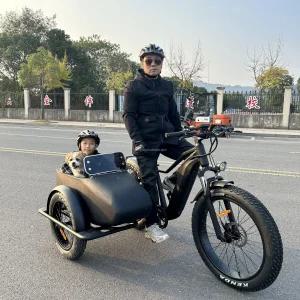 YLQ 500w 20AH 전기 자전거 사이드 카 어린이 애완 동물 운반 전기 화물 자전거