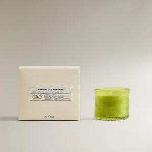 ZARA (155G) BERGAMOT  SANDALWOOD 아로마 캔들 - 크림 / 그린 5409/705/069