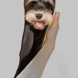 극세사 펫타올 M 1P 퀵드라이 고양이 강아지 수건