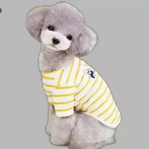 세련된 강아지 스트라이프 티셔츠 귀여운 하트곰