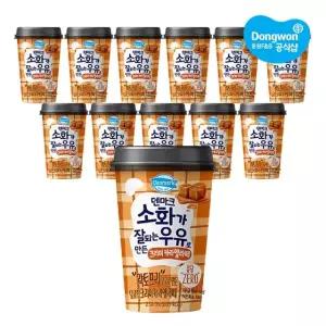 [동원] 덴마크 소화가 잘되는 우유로 만든 크리미 카라멜라떼 250ml x 12개