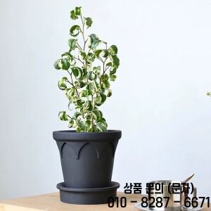 시멘트 화분 실리콘 몰드 (받침대 포함) 난초 다육 식물 실내 DIY 기하학적 콘크리트