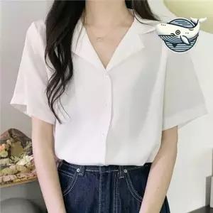 여름 쉬폰 카라 블라우스 여성용 단정한 데일리 하객블라우스 가을여성블라우스