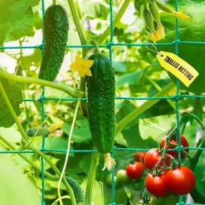 가든 트렐리스 네팅 - 식물 등반용 헤비 듀티 오이 토마토 27 가닥 나일론 및 4x4 인치 메쉬 과일 채소