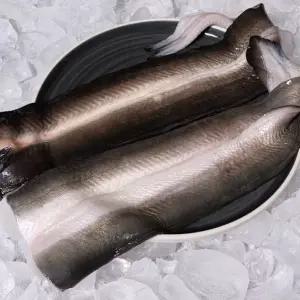 국내산 자포니카 민물장어 선물세트 1kg