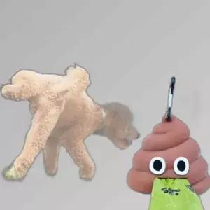 강아지 똥봉투 주머니