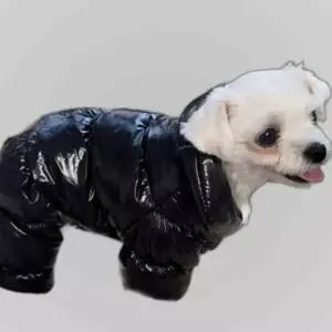 반려견 겨울 유광 롱패딩 점퍼 XL 강아지패딩