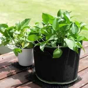 베란다 텃밭 대형 부직포 화분 2p세트(50x40cm) (블랙+그린) 원형 가방 화분백 분갈이 텃반 옥상 거실 식물