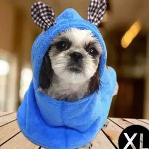 도그포즈 프린스 XL 애견가운 블루