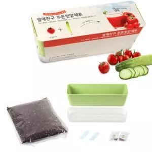배양토 오이 방울토마토씨앗 플랜터 세트어린이미니화분 만들기 식물키우기 키우기 기르기 반려키우기 실내