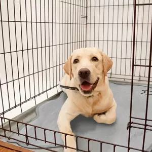 반려동물 쿨매트 강아지 고양이 여름 시원한 미끄럼방지 애견석 견방 러그 추천 개방 침대 펫방 매트 장판