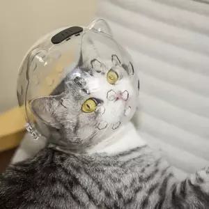 우주선 헬멧 고양이 입마개 대형묘형 용품 반려 투명볼