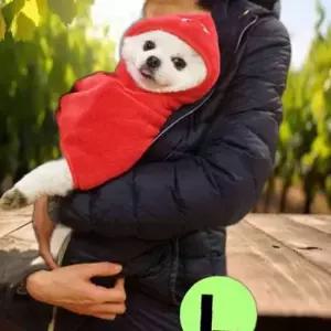 캐릭터 웜 공룡 L-XL 가운 레드 담요 패리스독
