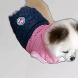패리스독 쁘띠도트 패딩 강아지옷 애견의류 개옷