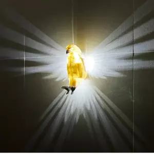 독수리 무드등 벽 조명 인테리어 LED램프신혼집선물 아이방등 LED등 벽등 해외등 인스타등 쇼츠등 올빼미등