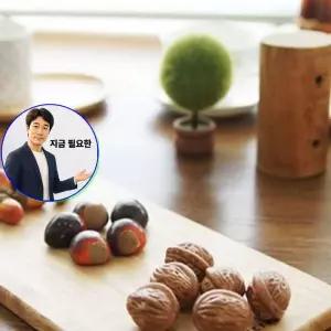 지금 필요한 장식소품 모형음식 도토리 데코 미니어처 호두 진짜같은
