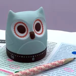 아날로그 태엽 쿠킹 타이머 부엉이 주방